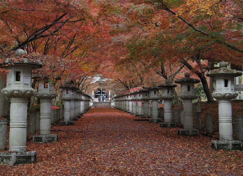 高山寺２