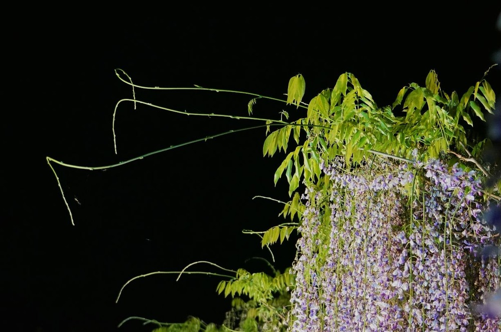 ５月７日夜9