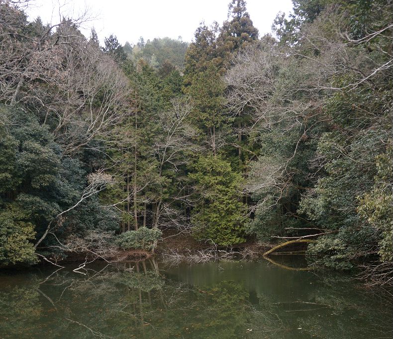 奥池