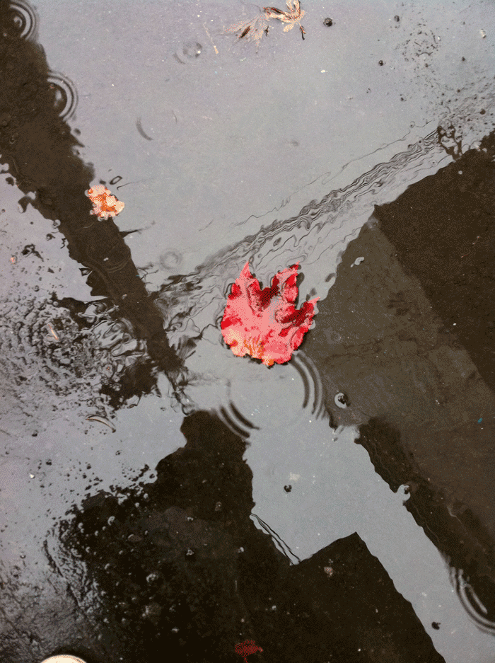 rain