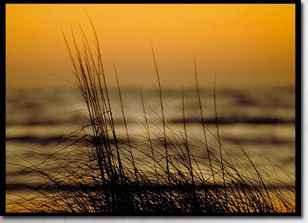 秋の海の夕暮れ