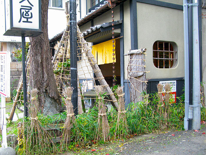 20111109_fuyukakoi03