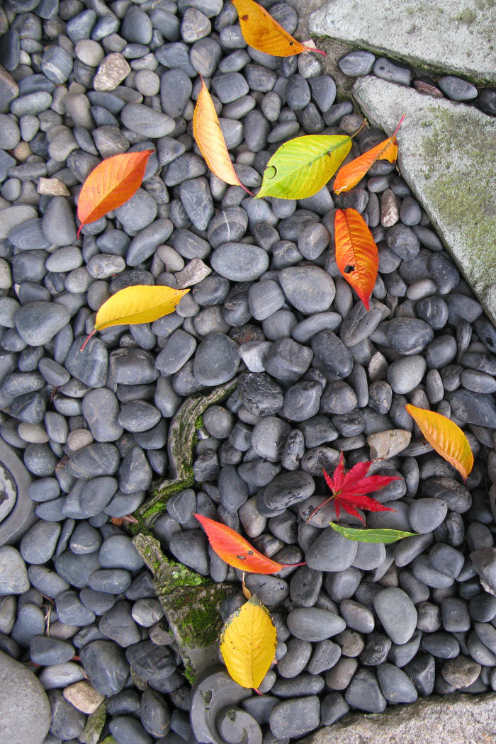 leaf01