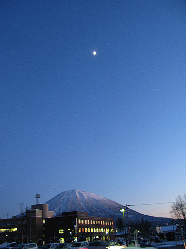 youtei_sichosha