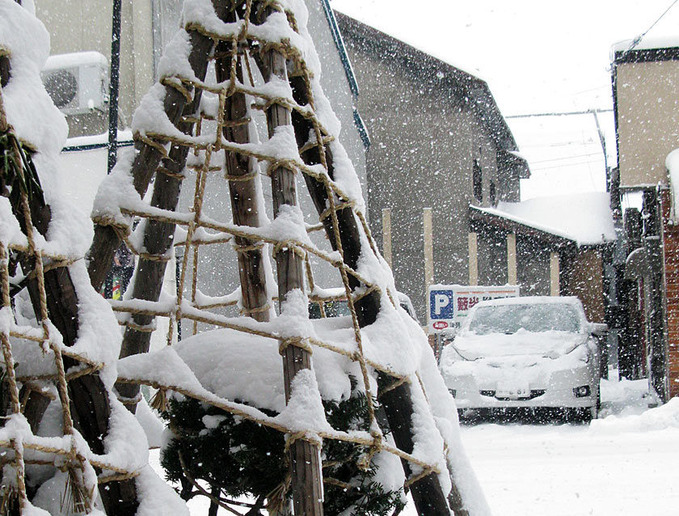 20111120_snow2_03