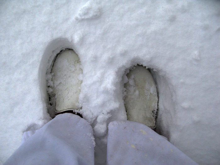 積雪計