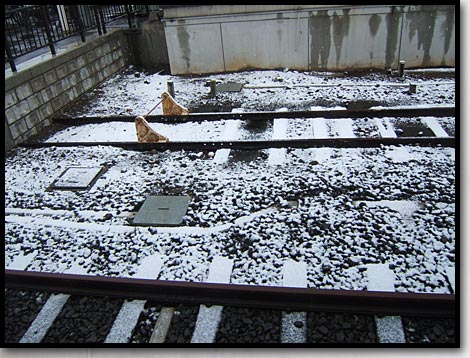 小樽駅初雪