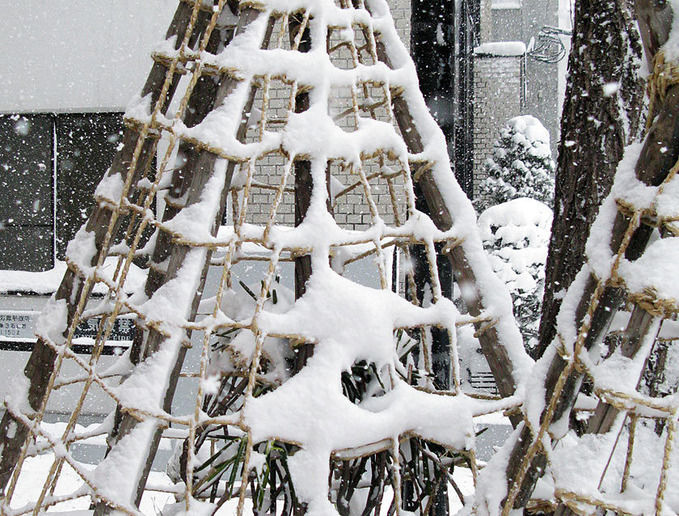 20111120_snow2_02