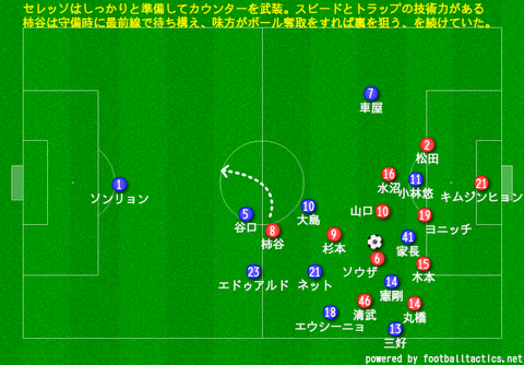 flontale_cerezo2_5