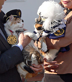 250px-Stationmaster_NITAMA_and_TAMA_20110105