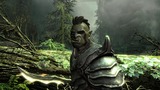 OrcNight01.JPG