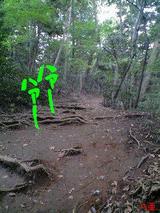takaozan