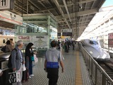京都10周年1