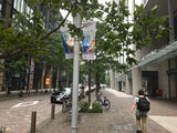 中秋の丸の内仲通