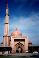 PINK MOSK