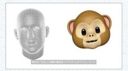 顔の筋肉をマッピング