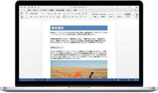 Word for Mac 2016