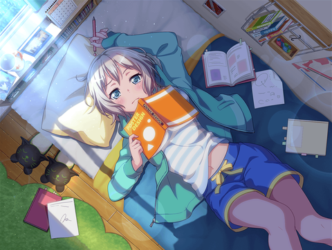 moka4