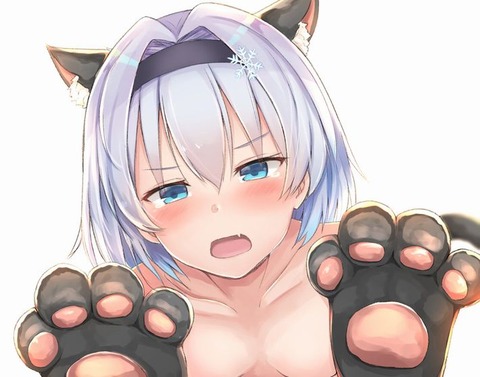 sora_ginko14