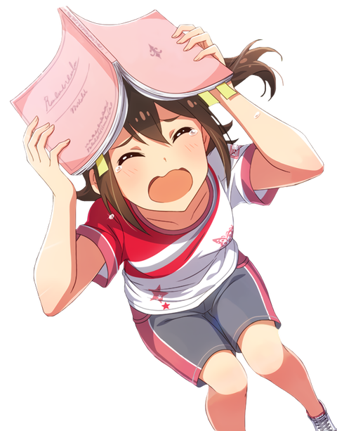 kasugamirai45