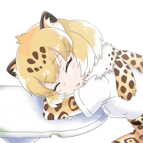 Jaguar cute24