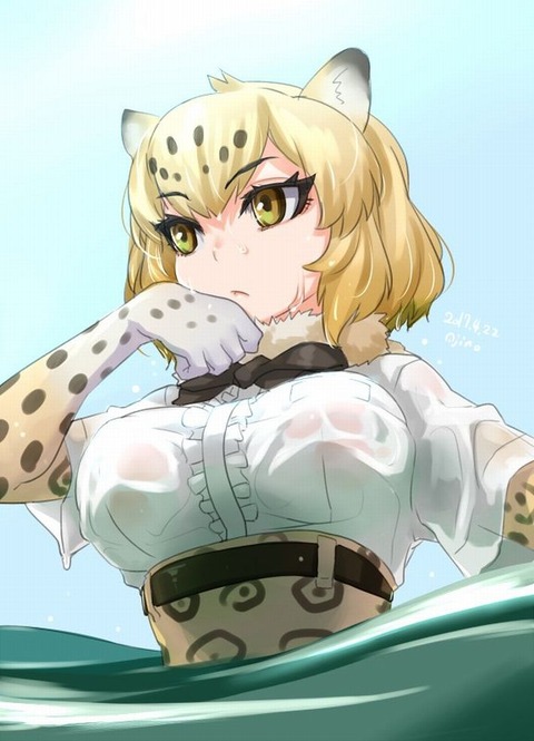 Jaguar cute15