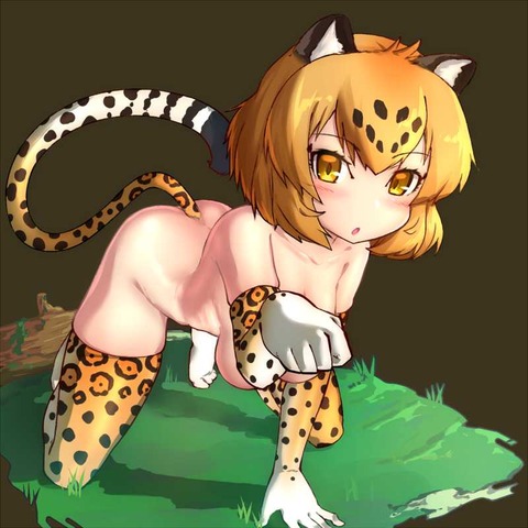 Jaguar cute27