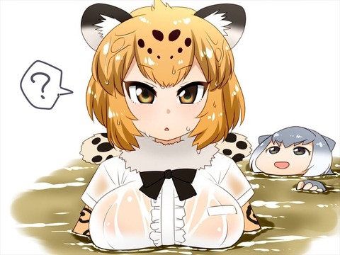 Jaguar cute31
