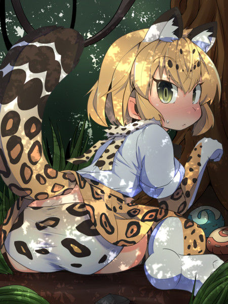 Jaguar cute8