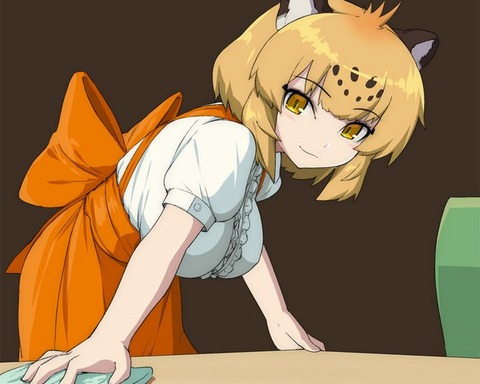 Jaguar cute16