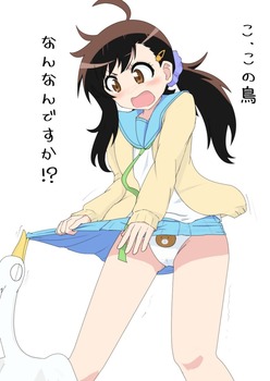 小野寺春 ニセコイ10