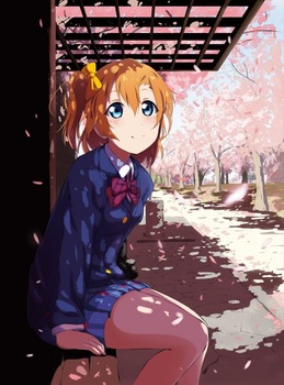 hanami sakura56