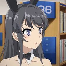 青春ブタ野郎はバニーガール先輩の夢を見ない28