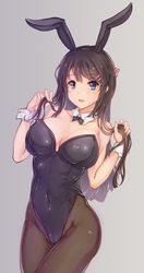 青春ブタ野郎はバニーガール先輩の夢を見ない19
