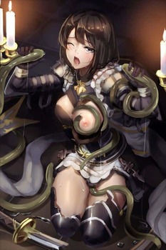 シャドウバース17