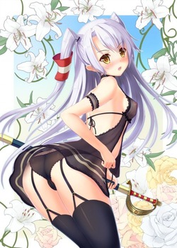 エロランジェリー ネグリジェ ベビードール pic32