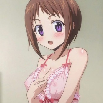 おくさまが生徒会長!+!9