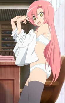 ヒナギク3