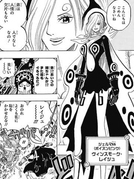 ヴィンスモーク・レイジュ17