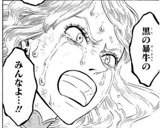 ブラッククローバー2