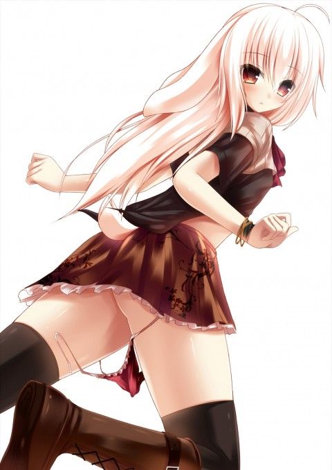 23-480x678