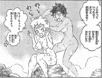 ブラッククローバー17