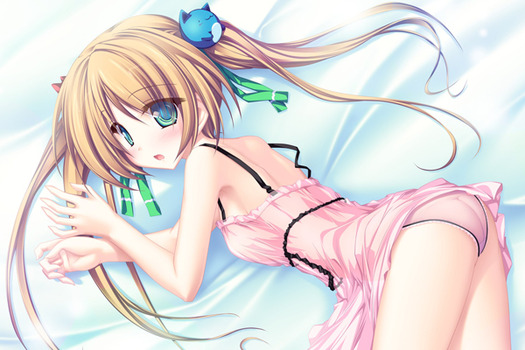 エロランジェリー ネグリジェ ベビードール pic6