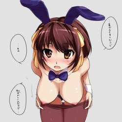 Bunny girl81