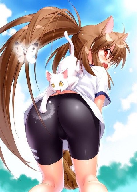 41-480x673