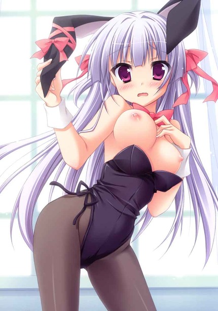 ハイレグ レオタード 競泳水着_二次エロ画像17