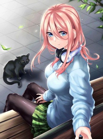 五等分の花嫁18