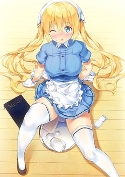 ブレンドS13