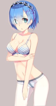 Re：ゼロから始める異世界体験 レム ラム40