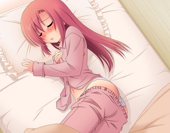 ヒナギク30